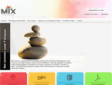 Tablet Screenshot of mix-learning.com